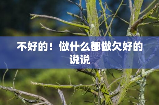 不好的！做什么都做欠好的说说