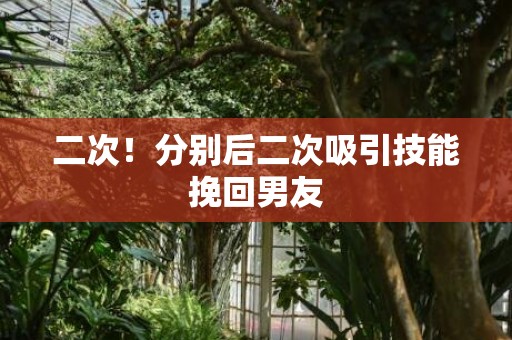 二次！分别后二次吸引技能挽回男友