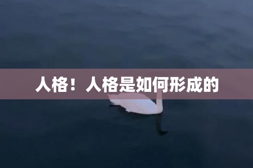 人格！人格是如何形成的