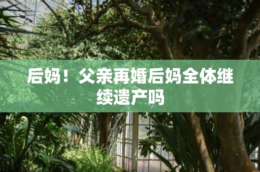 后妈！父亲再婚后妈全体继续遗产吗