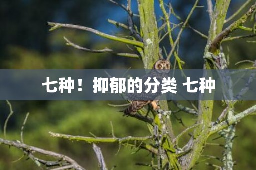 七种！抑郁的分类 七种