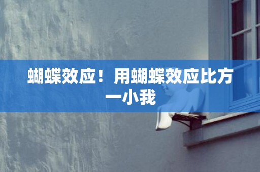 蝴蝶效应！用蝴蝶效应比方一小我