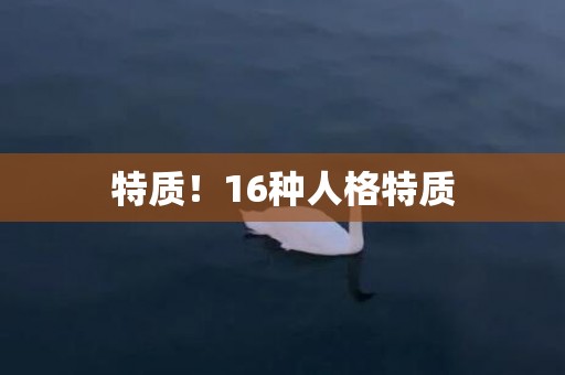 特质！16种人格特质