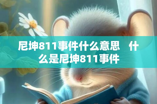 尼坤811事件什么意思   什么是尼坤811事件