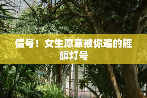 信号！女生愿意被你追的旌旗灯号