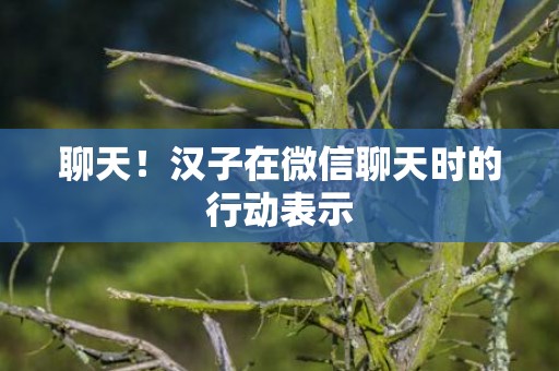 聊天！汉子在微信聊天时的行动表示