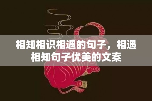 相知相识相遇的句子，相遇相知句子优美的文案