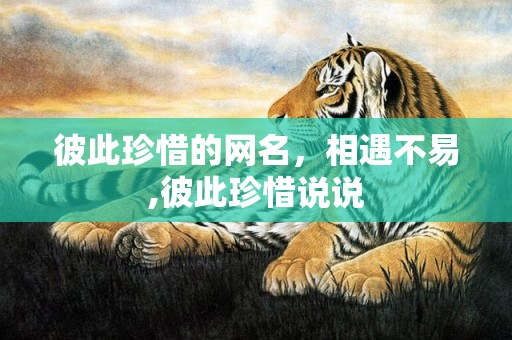 彼此珍惜的网名，相遇不易,彼此珍惜说说