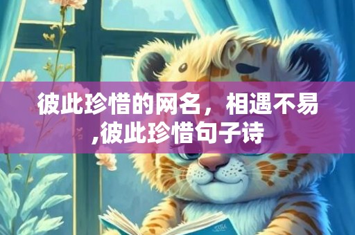 彼此珍惜的网名，相遇不易,彼此珍惜句子诗