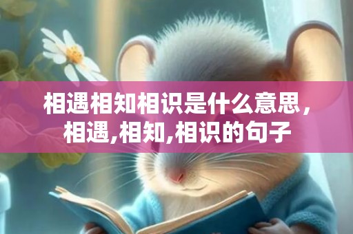 相遇相知相识是什么意思，相遇,相知,相识的句子