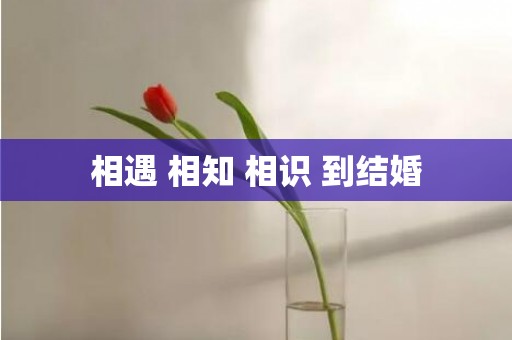 相遇 相知 相识 到结婚