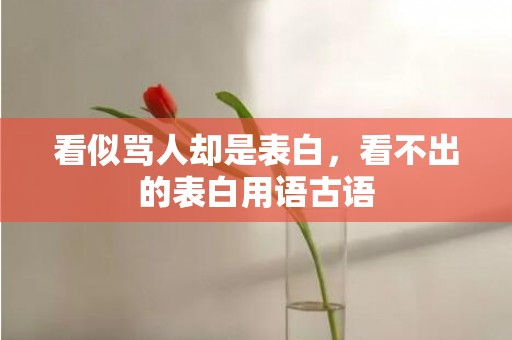 看似骂人却是表白，看不出的表白用语古语