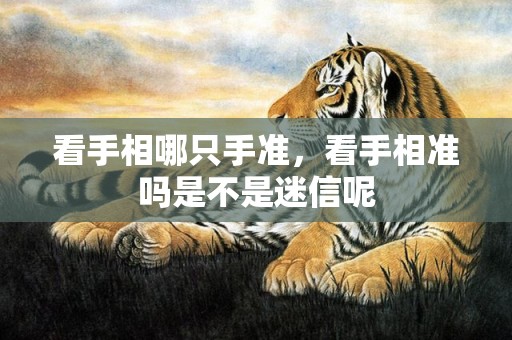 看手相哪只手准，看手相准吗是不是迷信呢