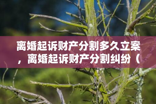 离婚起诉财产分割多久立案，离婚起诉财产分割纠纷（离婚诉讼中财产分割相关规定）
