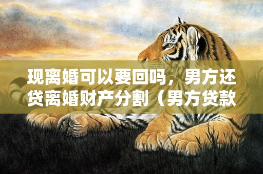 现离婚可以要回吗，男方还贷离婚财产分割（男方贷款离婚后女方需要还吗）