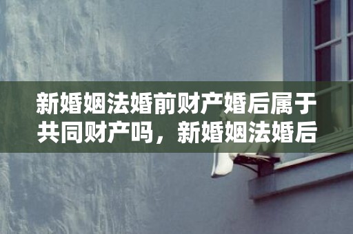 新婚姻法婚前财产婚后属于共同财产吗，新婚姻法婚后财产分割（新婚姻法的财产怎么分）