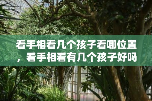 看手相看几个孩子看哪位置，看手相看有几个孩子好吗