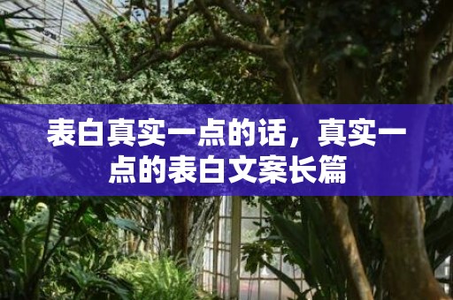 表白真实一点的话，真实一点的表白文案长篇