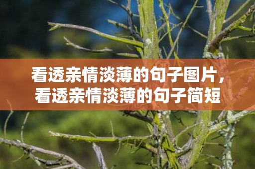 看透亲情淡薄的句子图片，看透亲情淡薄的句子简短