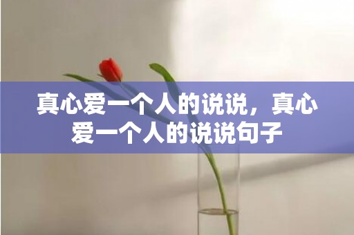 真心爱一个人的说说，真心爱一个人的说说句子