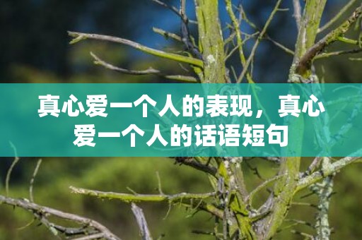 真心爱一个人的表现，真心爱一个人的话语短句