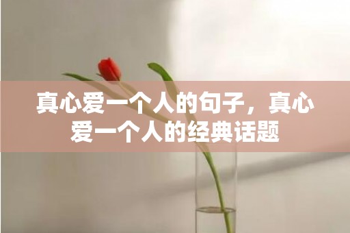 真心爱一个人的句子，真心爱一个人的经典话题