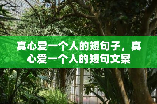 真心爱一个人的短句子，真心爱一个人的短句文案