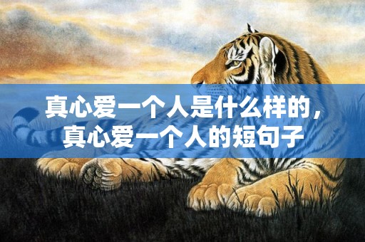 真心爱一个人是什么样的，真心爱一个人的短句子