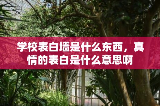 学校表白墙是什么东西，真情的表白是什么意思啊