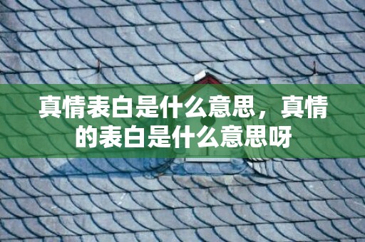 真情表白是什么意思，真情的表白是什么意思呀