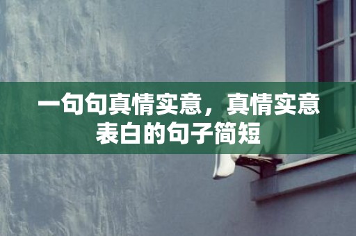 一句句真情实意，真情实意表白的句子简短