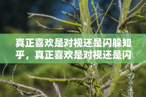真正喜欢是对视还是闪躲知乎，真正喜欢是对视还是闪躲