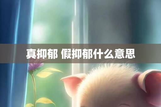 真抑郁 假抑郁什么意思