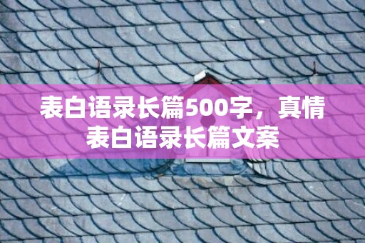 表白语录长篇500字，真情表白语录长篇文案