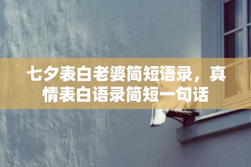 七夕表白老婆简短语录，真情表白语录简短一句话