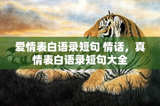 爱情表白语录短句 情话，真情表白语录短句大全