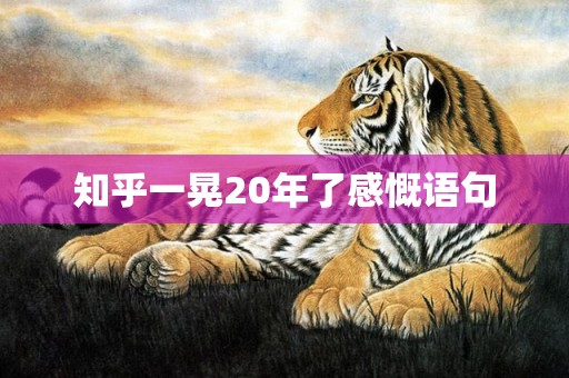 知乎一晃20年了感慨语句