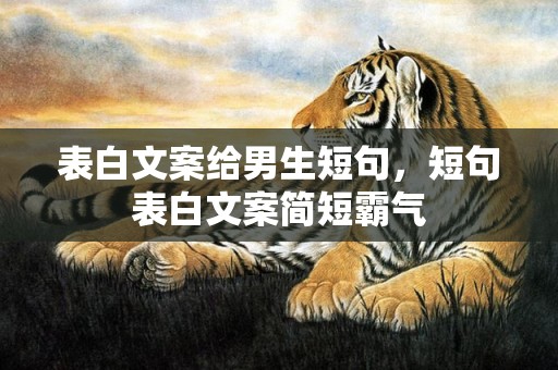 表白文案给男生短句，短句表白文案简短霸气