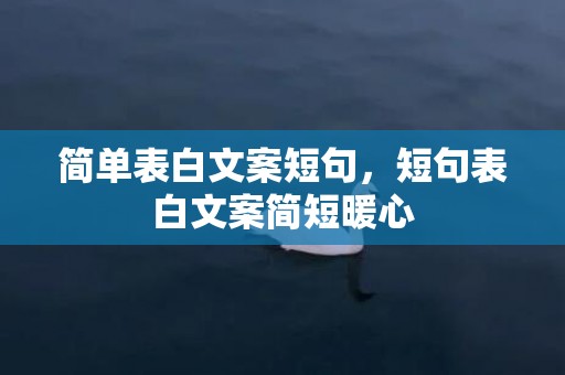 简单表白文案短句，短句表白文案简短暖心