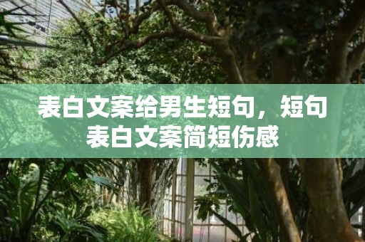 表白文案给男生短句，短句表白文案简短伤感