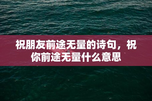 祝朋友前途无量的诗句，祝你前途无量什么意思