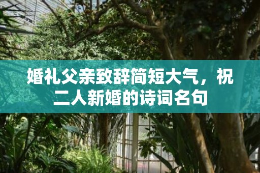 婚礼父亲致辞简短大气，祝二人新婚的诗词名句
