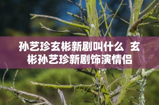 孙艺珍玄彬新剧叫什么  玄彬孙艺珍新剧饰演情侣