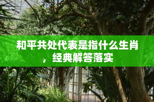 和平共处代表是指什么生肖，经典解答落实