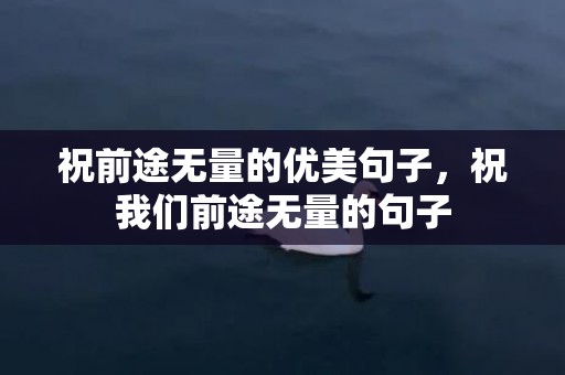 祝前途无量的优美句子，祝我们前途无量的句子