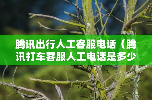 腾讯出行人工客服电话（腾讯打车客服人工电话是多少号码）