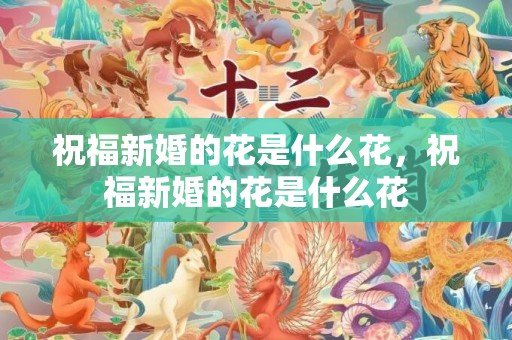 祝福新婚的花是什么花，祝福新婚的花是什么花