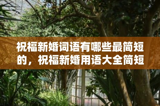祝福新婚词语有哪些最简短的，祝福新婚用语大全简短