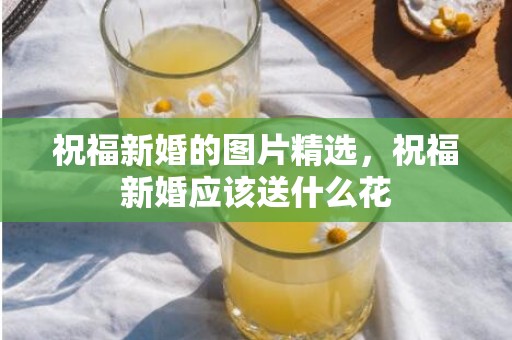 祝福新婚的图片精选，祝福新婚应该送什么花