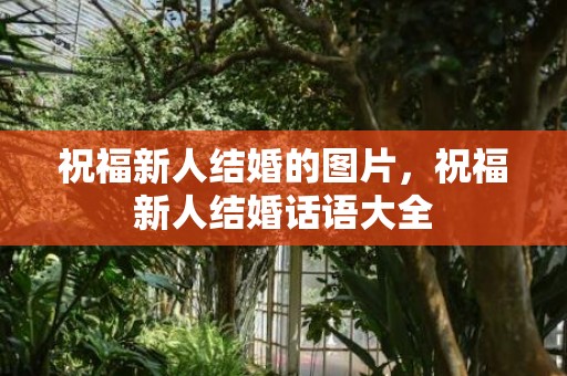 祝福新人结婚的图片，祝福新人结婚话语大全